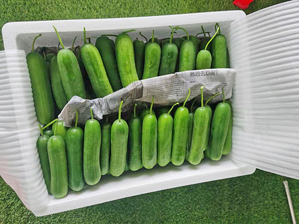 糧油配送公司教你花生油儲(chǔ)存方法？